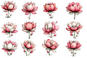 whimsical spring lotus flower clipar, an Illustration by Designworld (Thumbnail 3 of 4)
