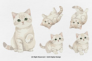 15 Bundle Watercolor White Kitten, an Animal Illustration by Morspective (Thumbnail 5 of 8)