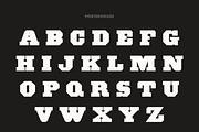 Pale Horse, a Slab Serif Font by Pale Horse (Thumbnail 6 of 11)