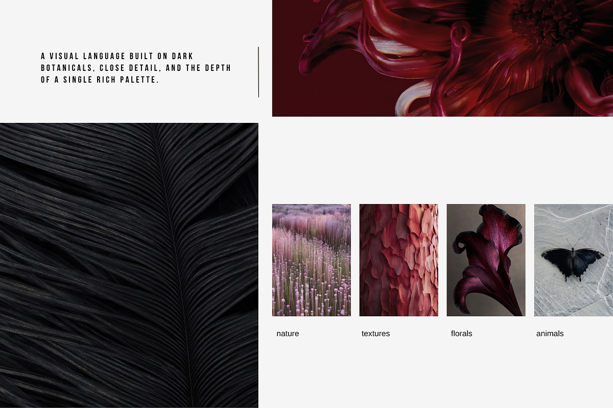 Dark Floral & Mineral Stock Photos, a Nature Photo by Tale.Haus (Photo 6 of 17)