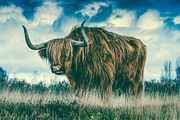 300 Professional Lightroom Presets, an Action Add-On by Madison Colt Studios (Thumbnail 24 of 29)