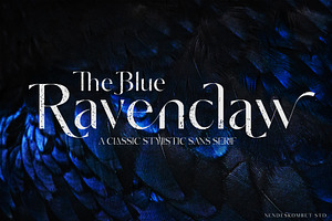 The Blue Ravenclaw - Stylistic Sans