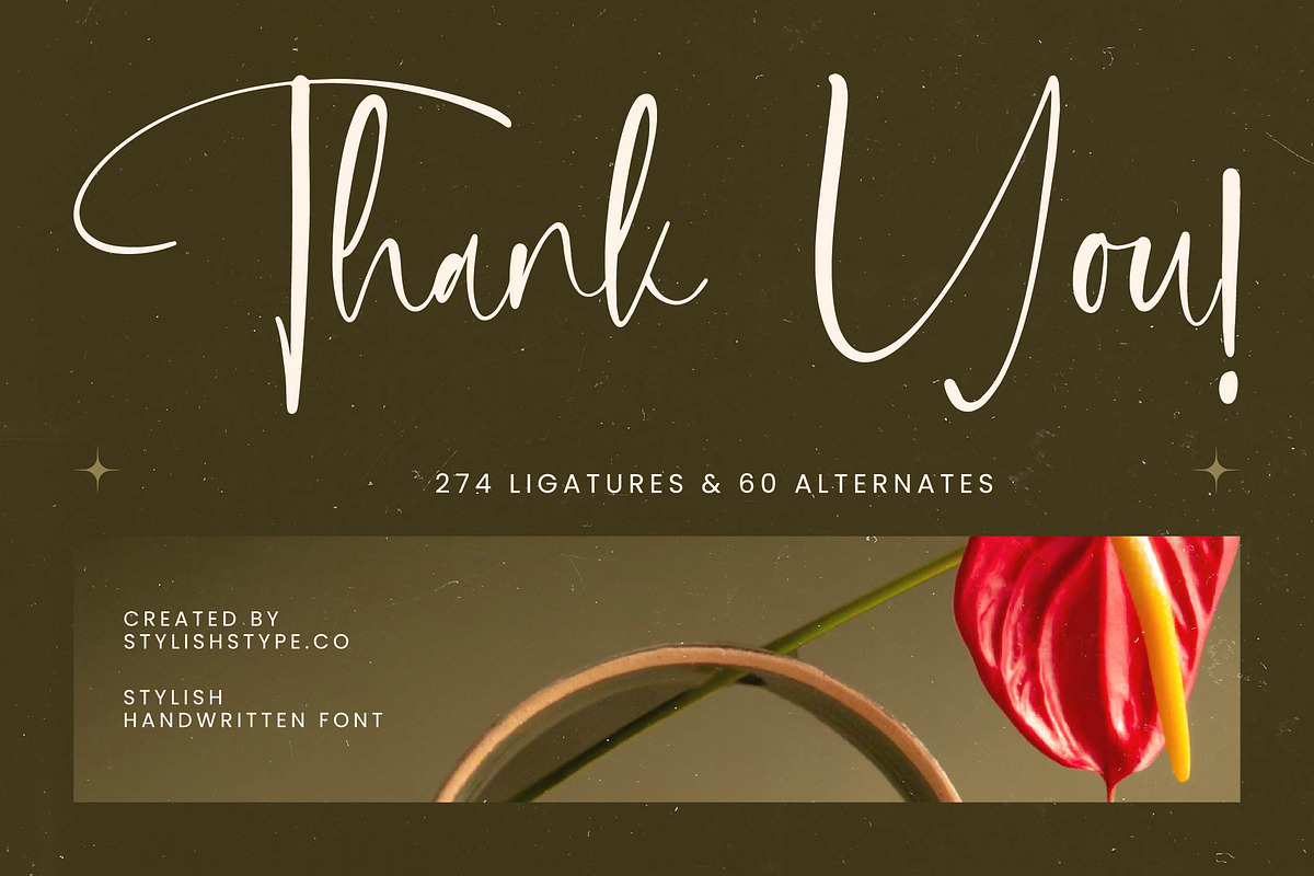 Delicately Stylish Handwritten Font, a Serif Font by stylishtype.co (Photo 20 of 20)