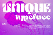 Emiken Display, a Serif Font by Attract Studio (Thumbnail 3 of 17)
