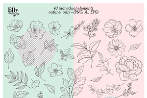 Modern Floral Graphic Collection