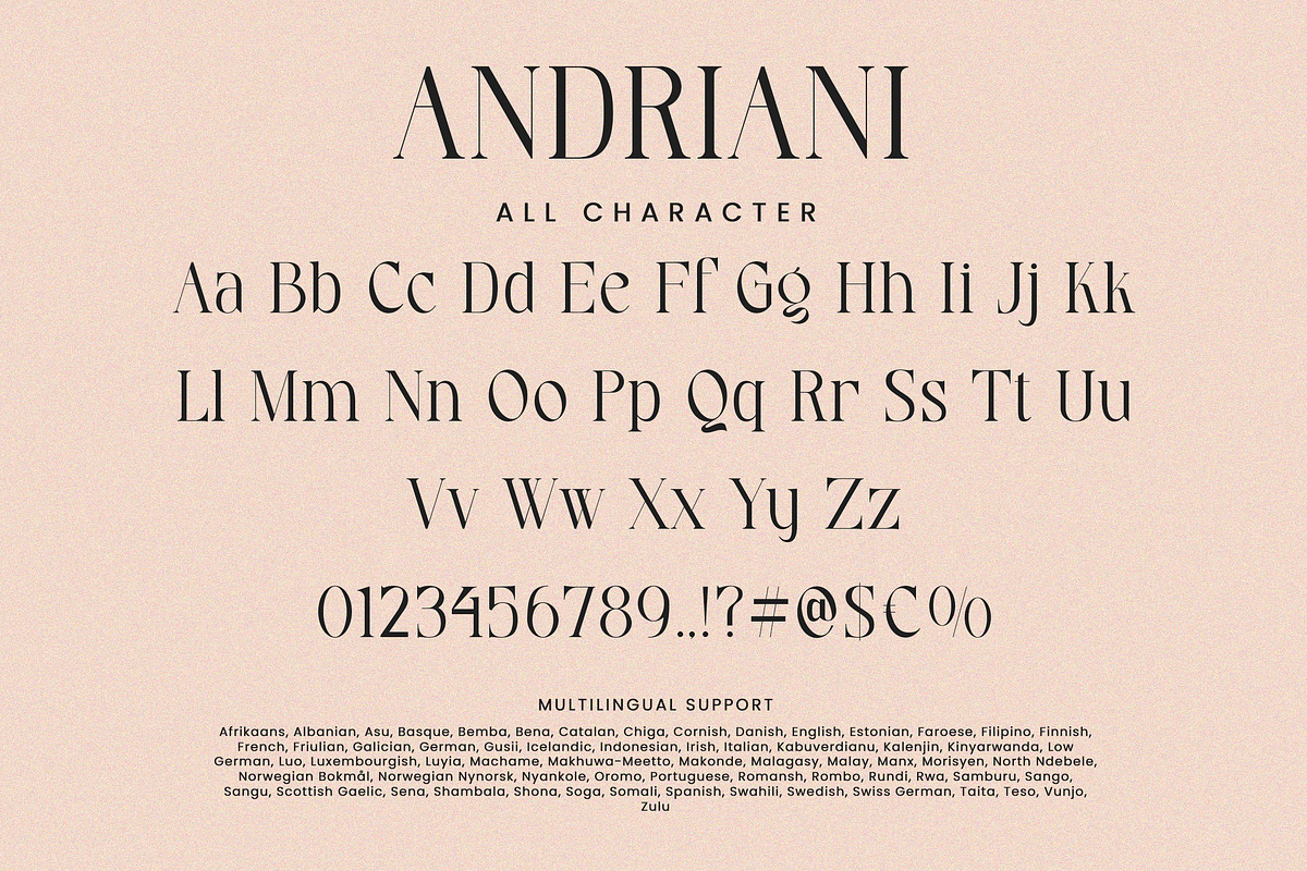 Andriani, a Serif Font by HATFSTUDIO (Photo 8 of 9)