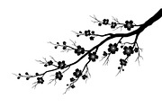 Floral Ornament Silhouette Bundle, an Illustration by BIPLOB EXPERT (Thumbnail 39 of 51)