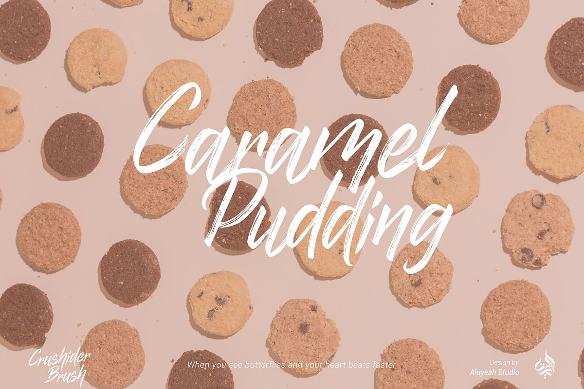 Crushider Brush, a Script Font by Aluyeah Studio (Photo 9 of 14)