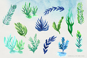 Ocean Life Watercolor Illustrations, an Illustration by Fire Spark Studio (Thumbnail 4 of 8)