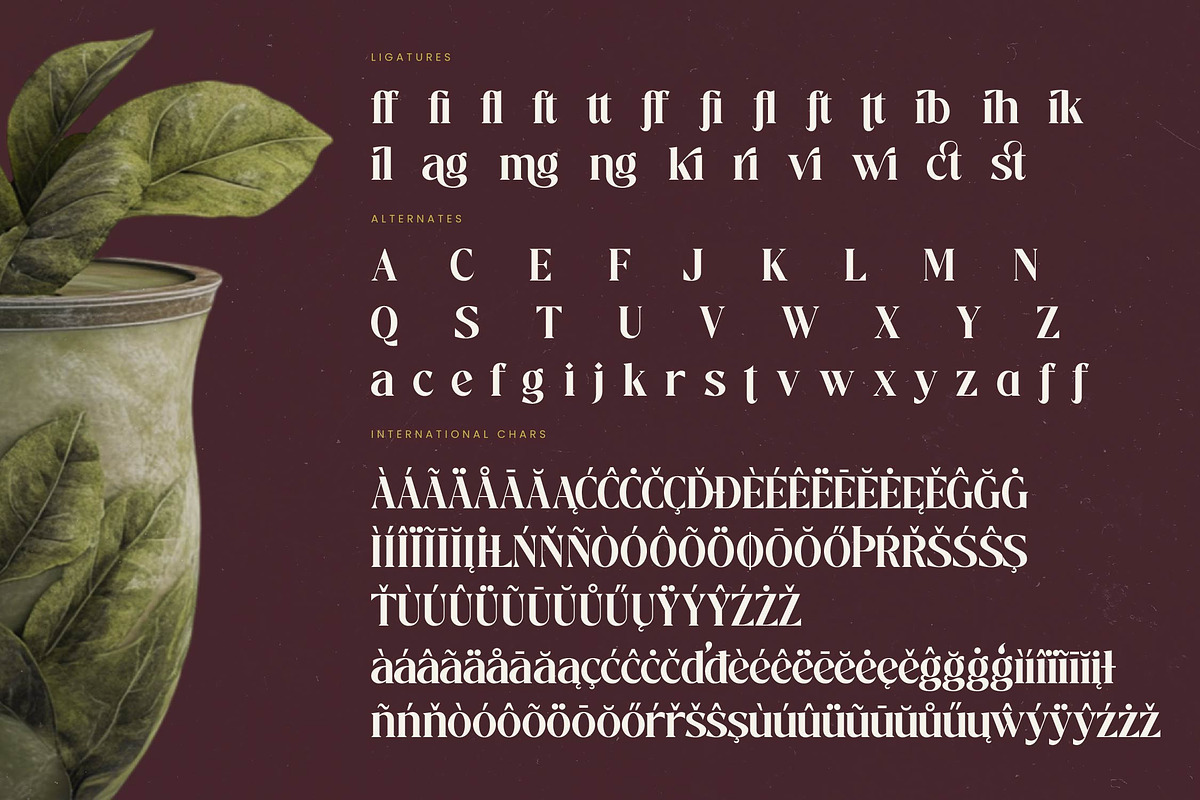 Mistical Spring - Modern Serif, a Serif Font by timelesstype.co (Photo 19 of 20)