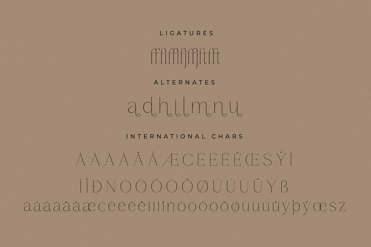 Gestiva Elegant Modern Serif, a Serif Font by Storytype Studio (Photo 14 of 15)