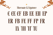 Arcenix - Serif Display Font, a Serif Font by Flawless And Co (Thumbnail 9 of 10)