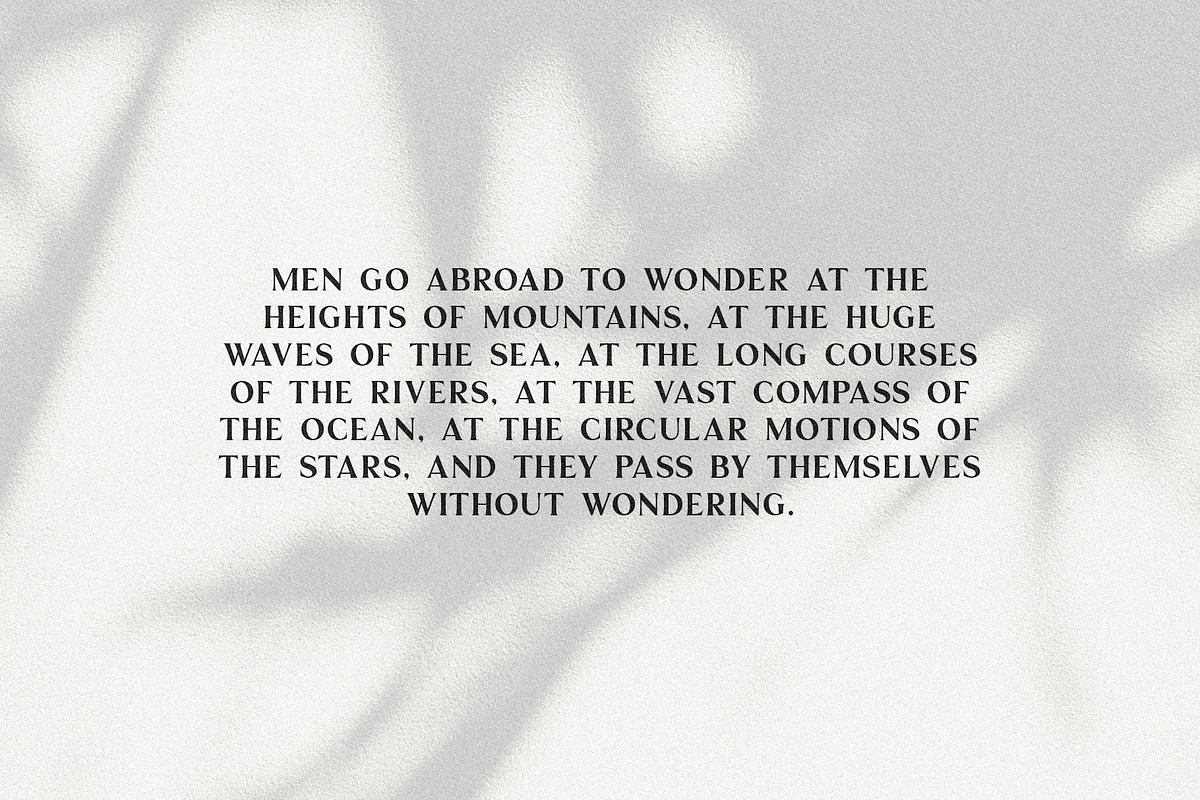 Palmer | A Classic Serif preview 4