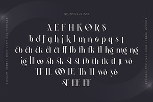 Stetling - Elegant Modern Serif Font