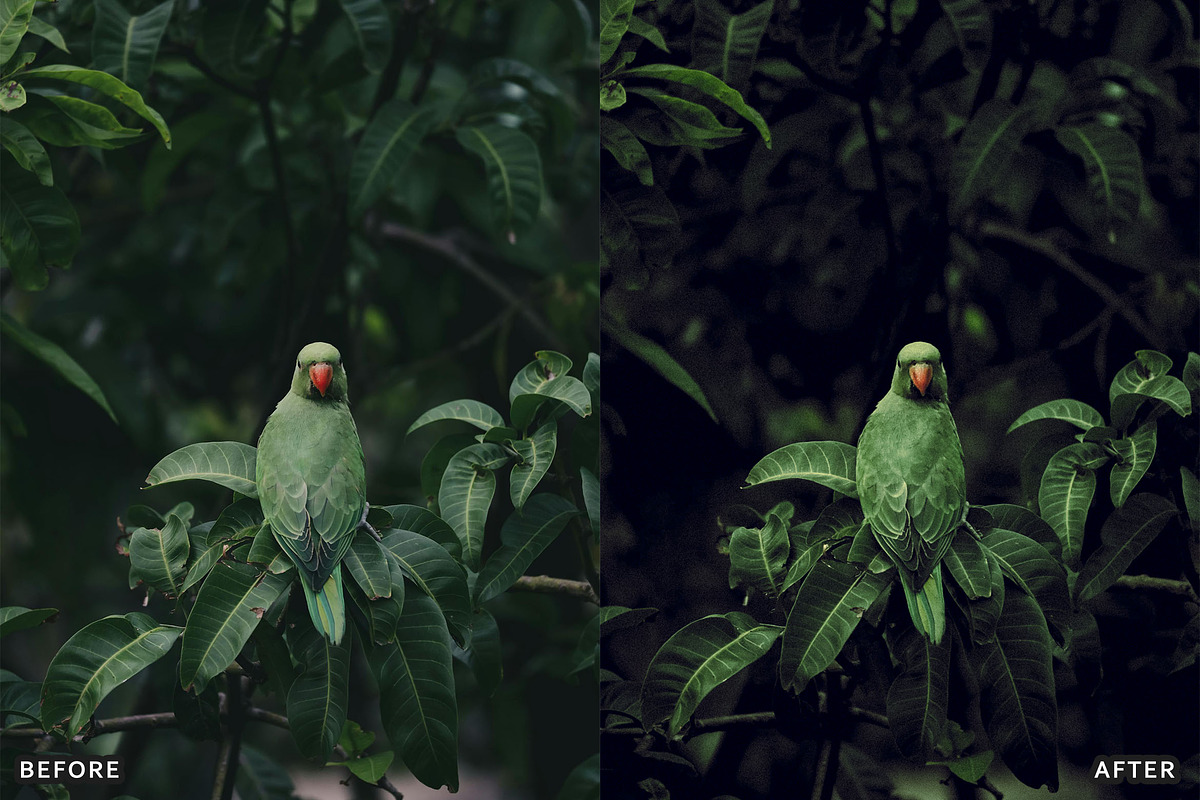 Dark Moody New Look Lightroom Preset, a Preset Add-On by AAA Presets (Photo 4 of 21)