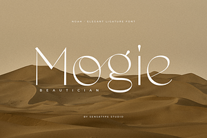 Noah - Elegant Ligature Font