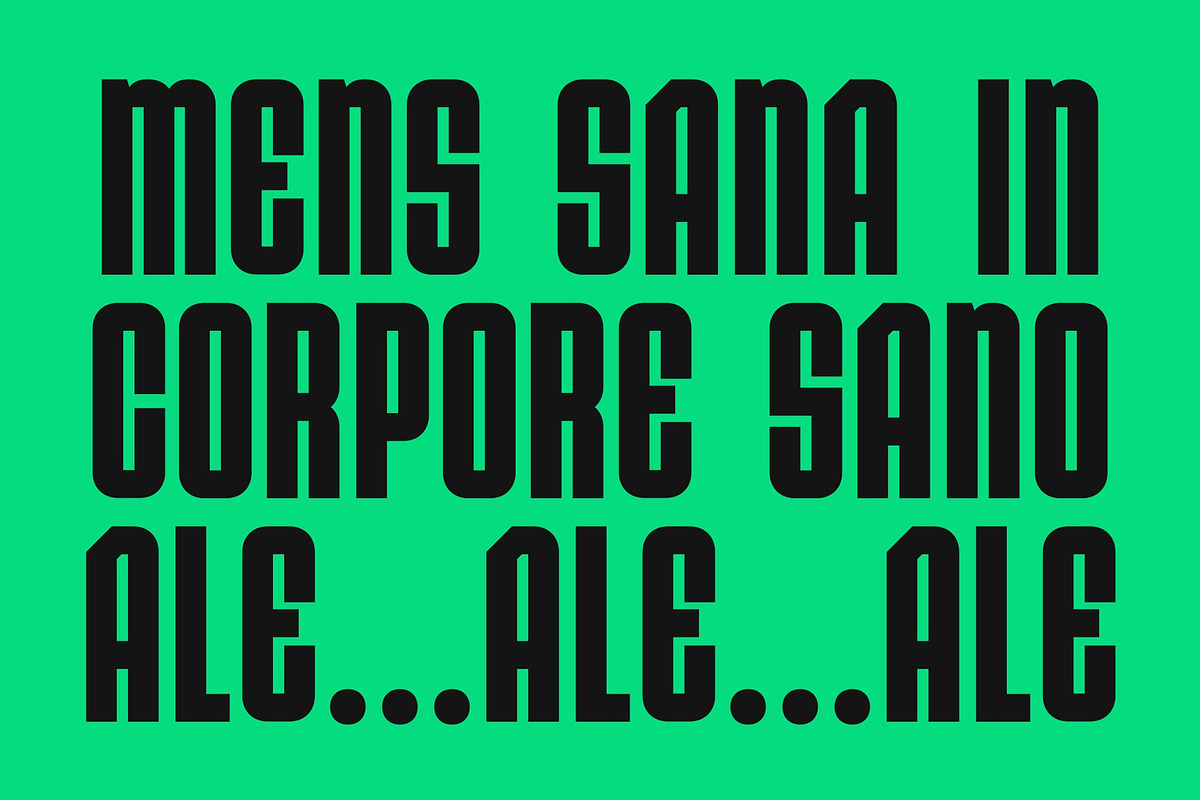 CS Alford – Condensed Font, a Sans Serif Font by Craft Supply Co. (Photo 4 of 8)