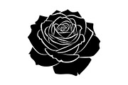 50 Black Rose Silhouette Vector Bund, an Illustration by Gaye Art (Thumbnail 11 of 51)