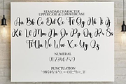 Winterday, a Handwritten Font by FreshTypeINK (Thumbnail 5 of 8)