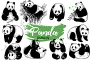 Panda, an Animal Illustration by Ecaterina Sciuchina (Thumbnail 1 of 6)