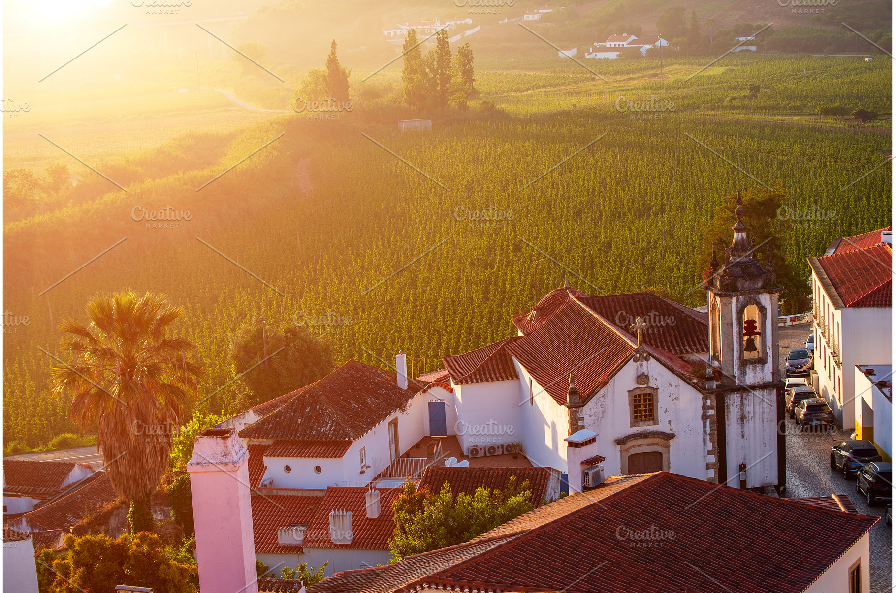 Aerial view of Obidos with green, an Architecture Photo by Nature and travel