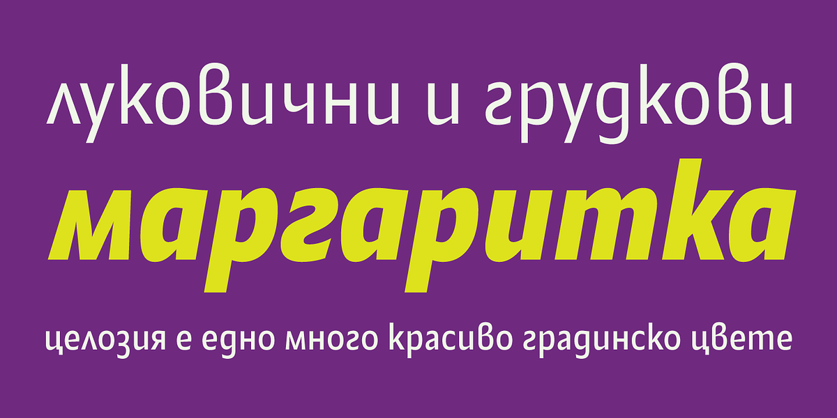Alamia, a Sans Serif Font by Ani Dimitrova (Photo 12 of 12)