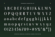 Twoswash - Beauty Elegant Serif, a Serif Font by Typia Nesia (Thumbnail 10 of 11)