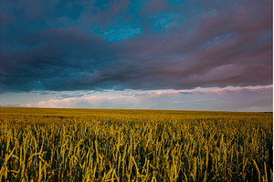 Green Field Under Dynamic Skies at, a Beauty & Fashion Photo by Our Amazing World