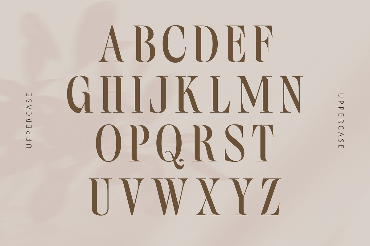Bilqust - Elegant Serif, a Serif Font by Nirmana Visual (Photo 5 of 9)