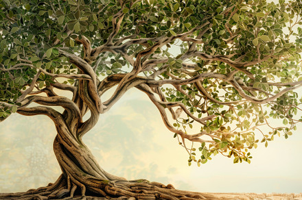 Detailed Painting of a Tree With Man, a Photo by Iftikhar Alam