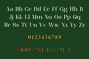 Bretish - Modern Serif Typeface, a Serif Font by Font Kingdom (Thumbnail 3 of 7)
