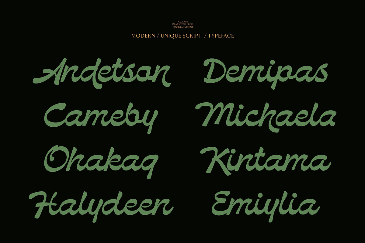 NCL Bendstag - Modern Script, a Script Font by Enxyclo Studio (Photo 4 of 16)