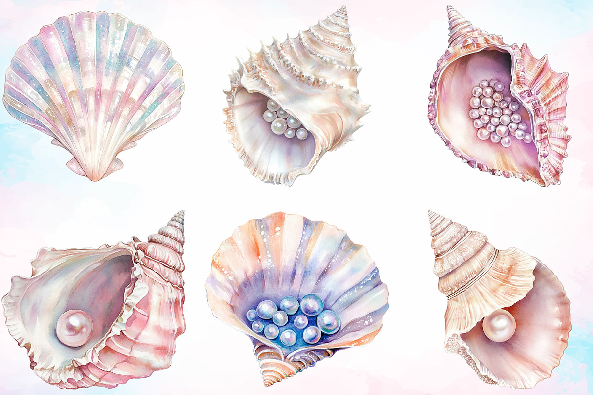 Watercolor Summer Seashell Clipart, an Illustration by Canvas Craft (Photo 4 of 4)