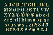 Room 205, a Font by Simon Walker (Thumbnail 2 of 8)