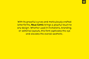 Neue Comic, a Handwritten Font by Unio Designs (Thumbnail 3 of 10)