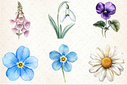 Charming Wild Flowers Watercolor Cli, an Illustration by Rose Art (Thumbnail 3 of 7)