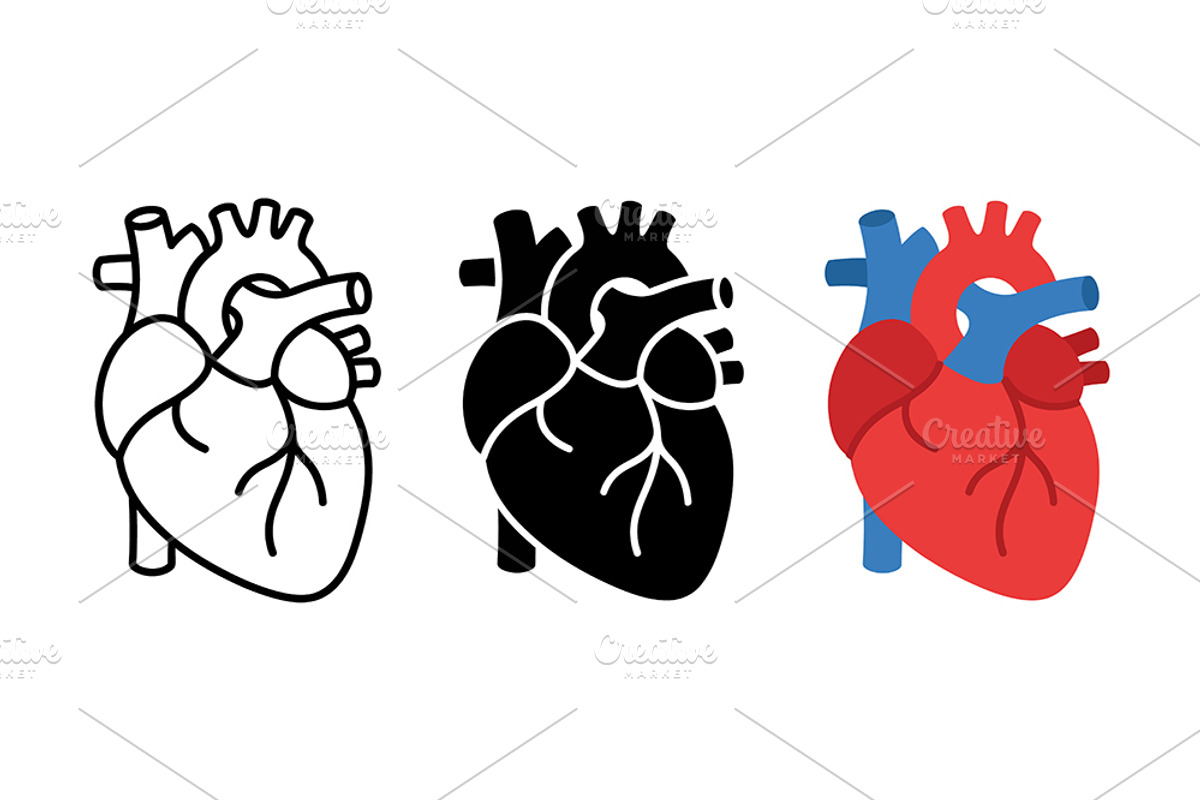 Anatomical Heart Vector Set, an Object Graphic by Artonix (Photo 2 of 3)
