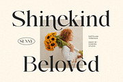 Elegant Luxury Serif - Softglam, a Serif Font by Shakira Studio (Thumbnail 2 of 10)
