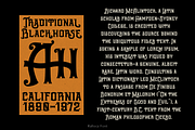 Ralloca Victorian Font, a Serif Font by TypeClassHeroes (Thumbnail 4 of 15)