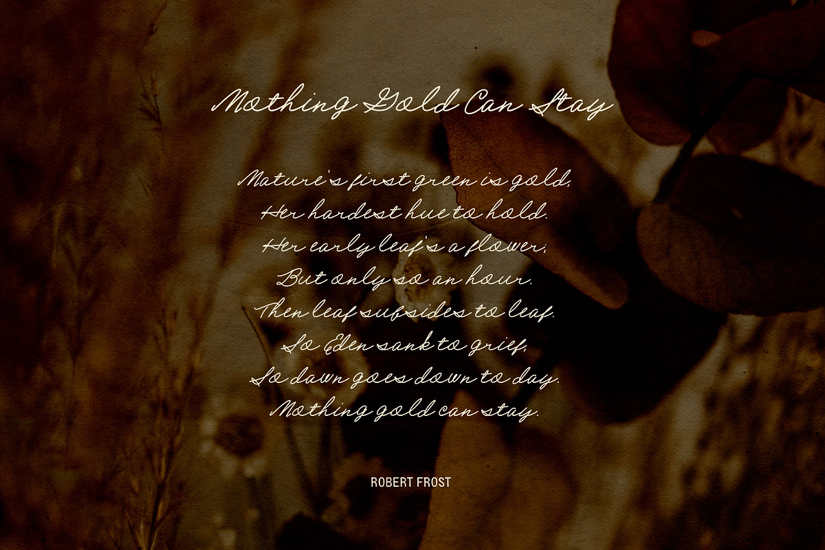 Field Journal Handwritten Font Duo, a Handwritten Font by Eclectic Anthology (Photo 8 of 11)