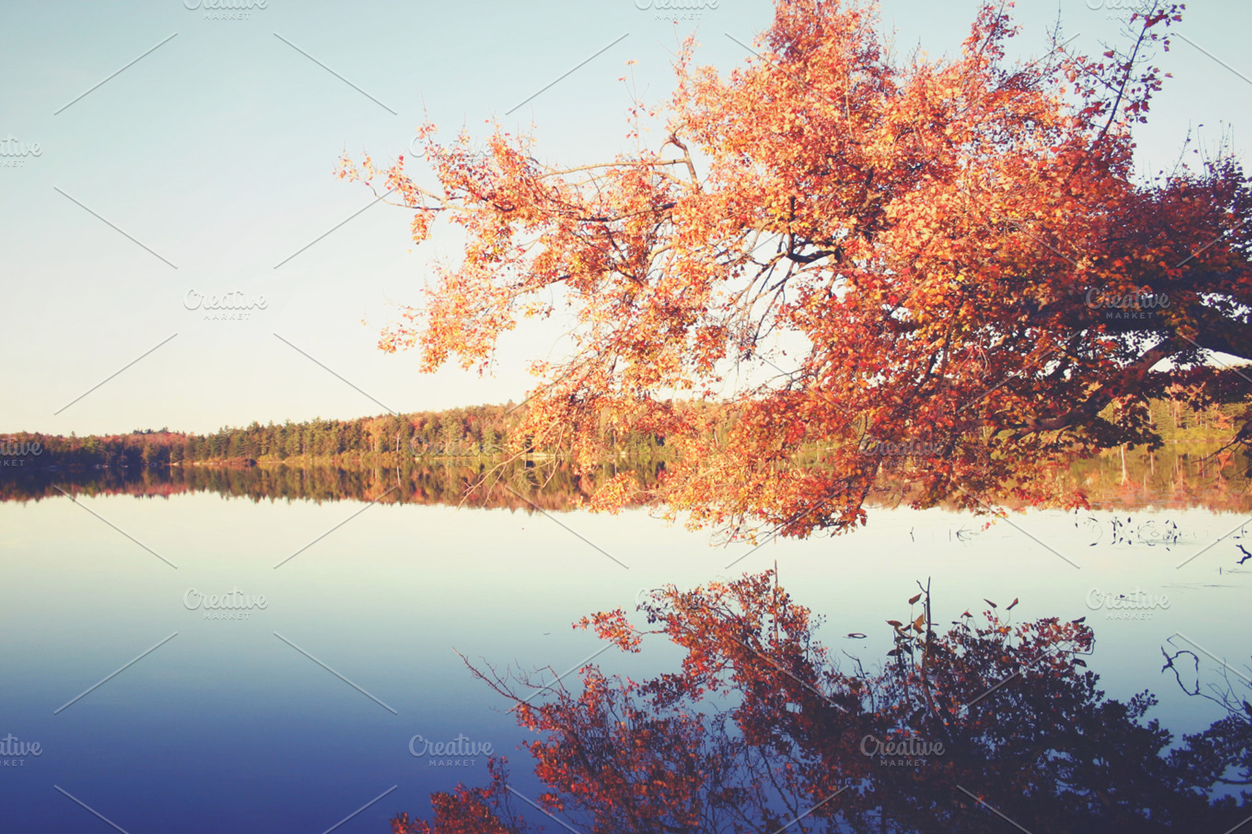 It's Fall!, a Nature Photo by Bicks Pics