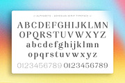 Adhesian Serif Font Family, a Serif Font by Propertype (Thumbnail 12 of 12)