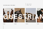 Dark Equestrian | 200 stock images, an Animal Photo by Tale.Haus (Thumbnail 2 of 13)