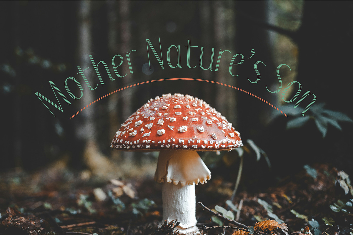 Spritely Hand — Organic Display Font, a Handwritten Font by Kevin Foley Fonts (Photo 8 of 11)