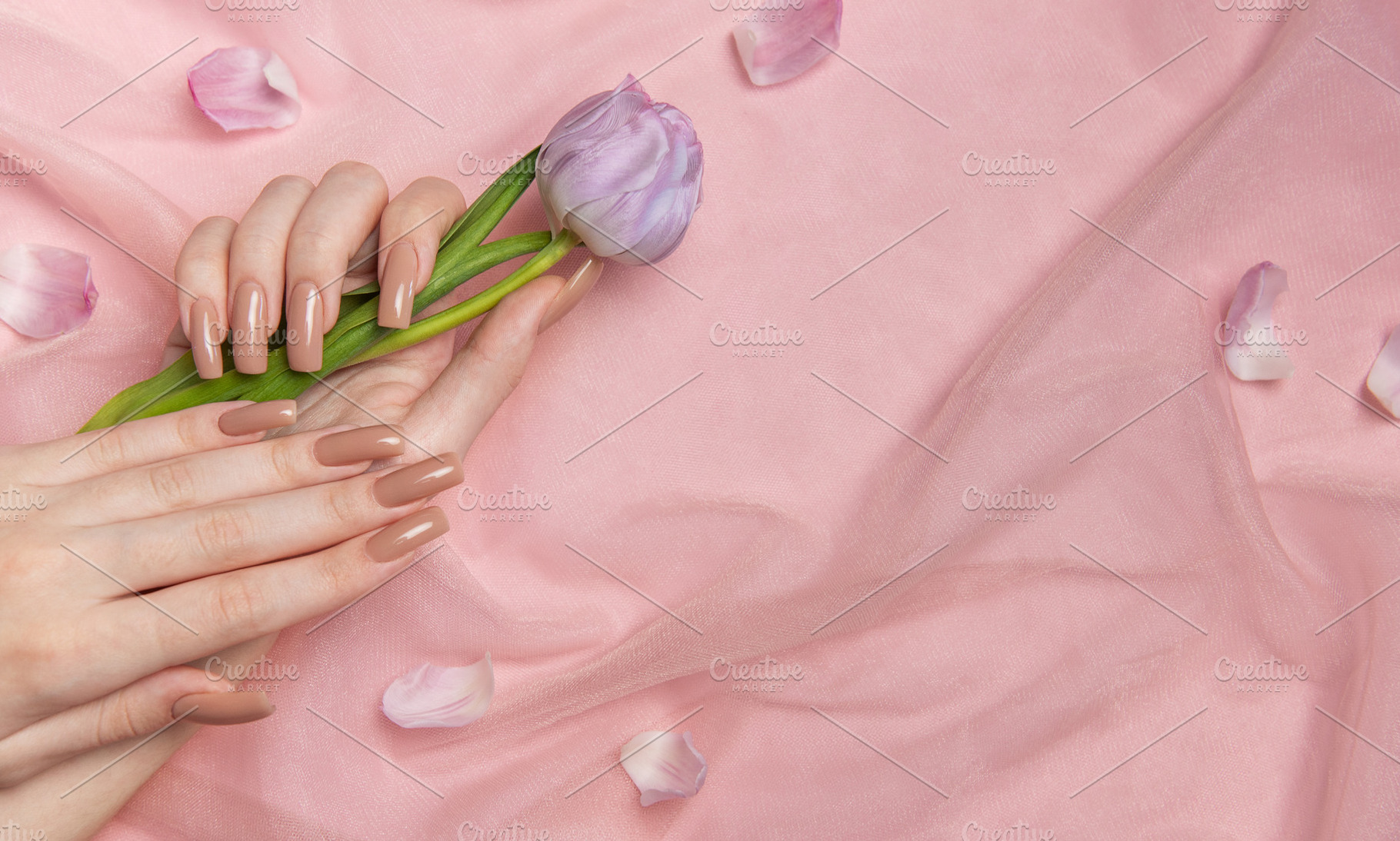 Woman hands with perfect nude manicure holding purple tulip on p, a Beauty & Fashion Photo by Olena Rudo