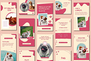 Pet Shop Story Canva Templates, a Templates & Theme by BoontenStudio (Thumbnail 4 of 8)