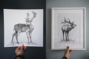 Deers, an Illustration by YuliaBiser (Thumbnail 2 of 4)