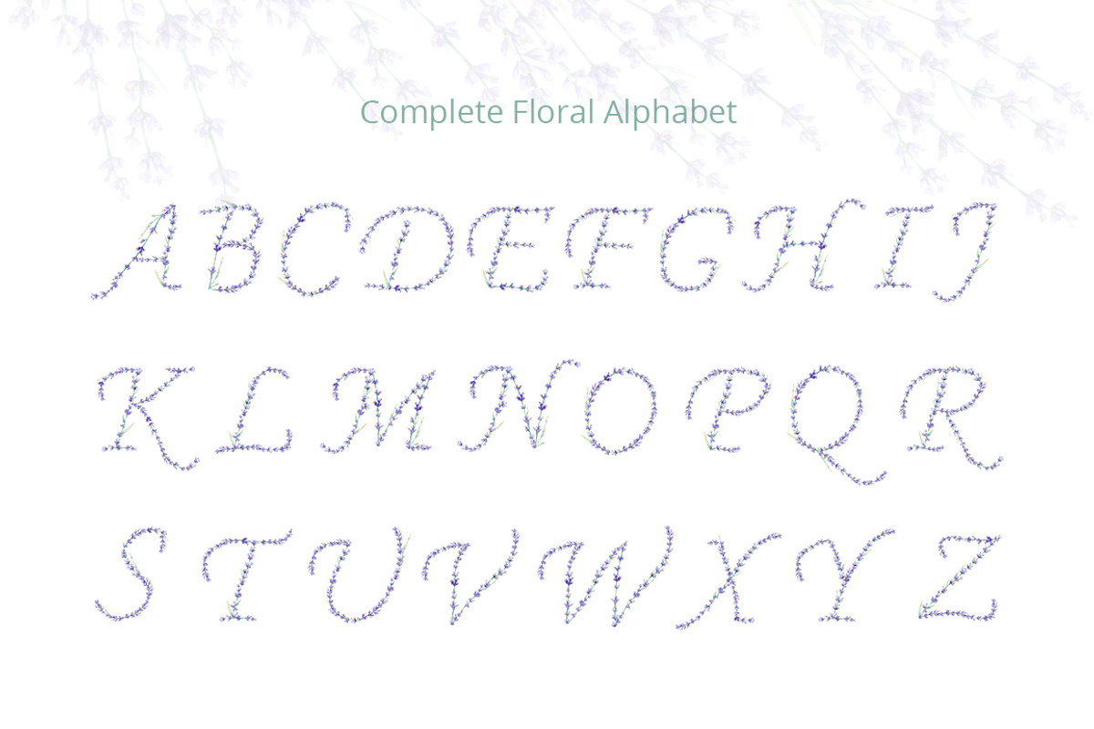 Floral Alphabet. Lavender flowers., an Object Illustration by Anna Kopylova (Photo 2 of 5)