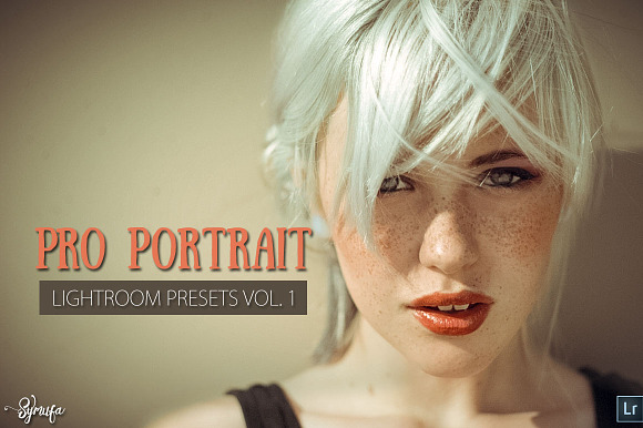 Pro Portrait Lightroom Presets preview 8