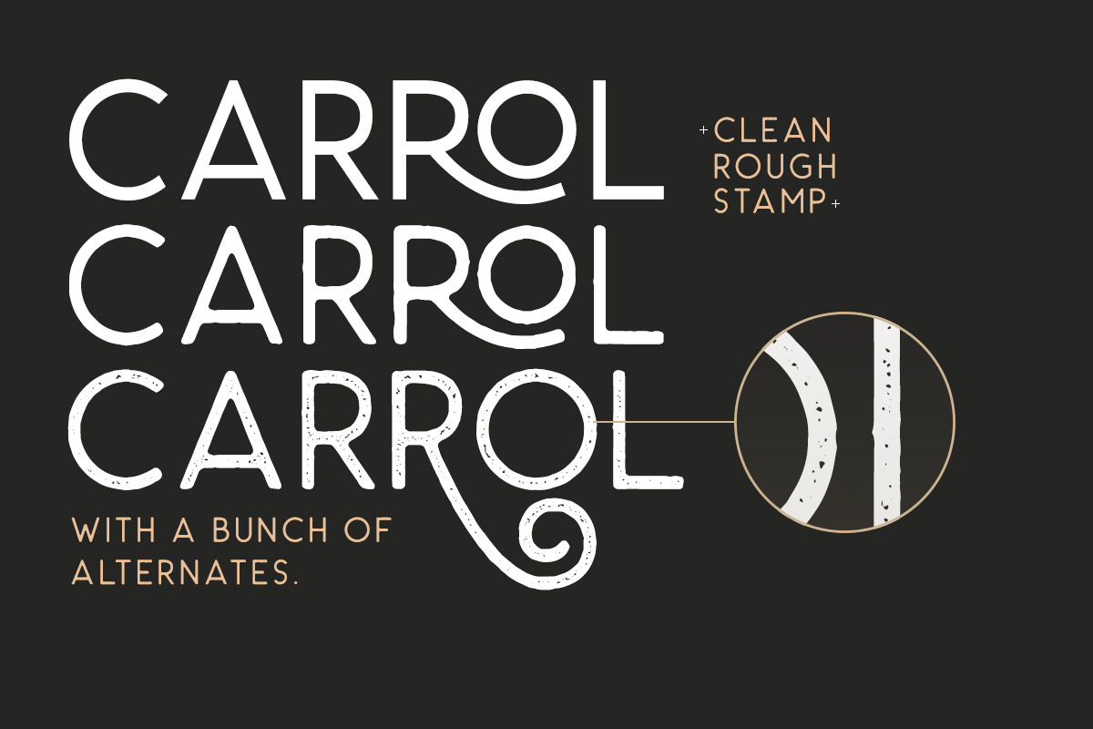 Carrol Wild - Modern Sans preview 3